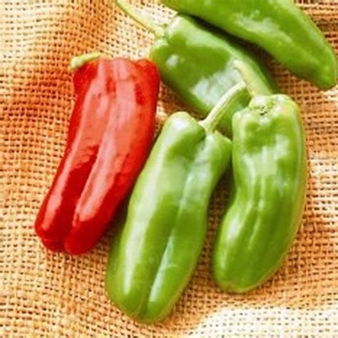 marconi peppers info